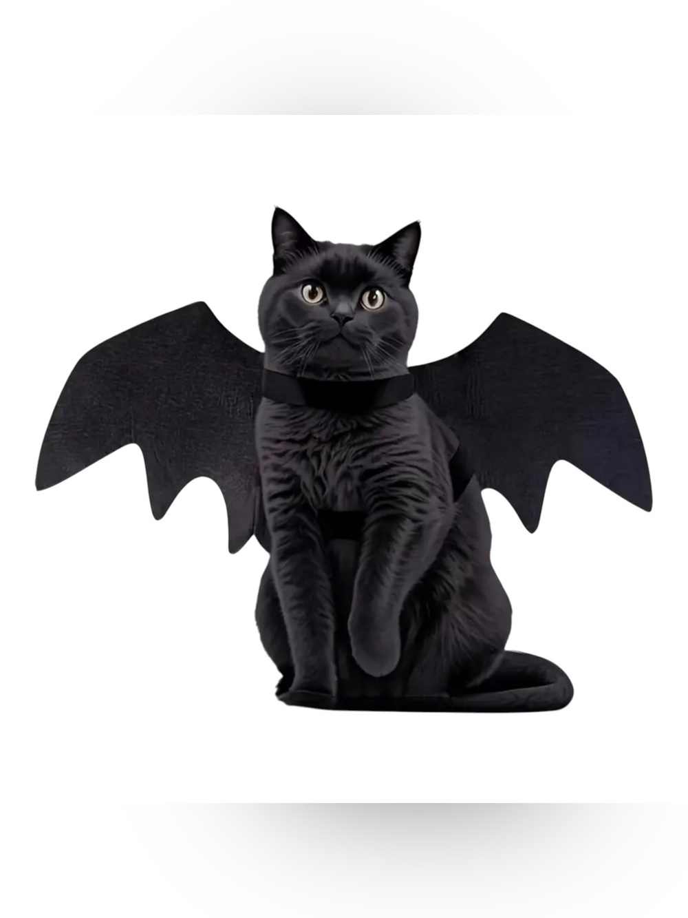 Black Bat Wings Costume Cat Kitten Halloween Pet Costume New